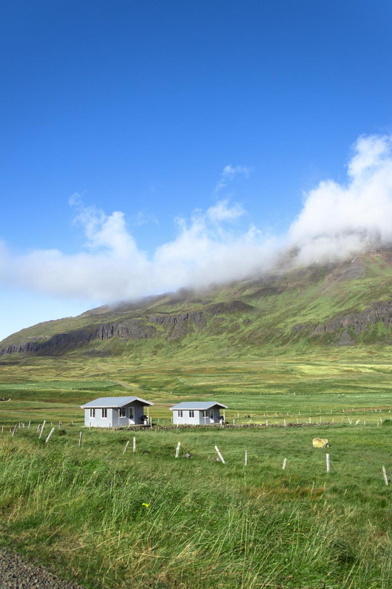 Urdartindur Guesthouse And Cottages Northurfjorthur Rum bild